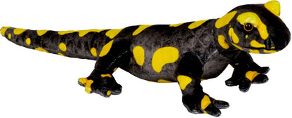 Feuersalamander - Nature Zoom Wild - Die Spiegelburg
